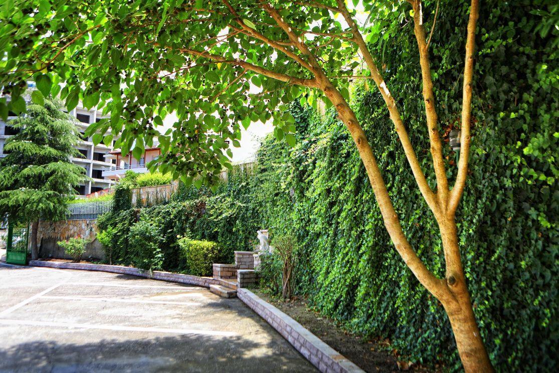 Vlorë Hotel Europa מראה חיצוני תמונה